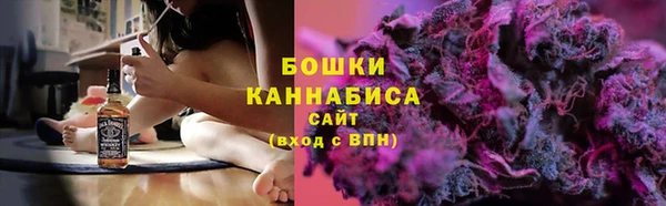 твердый Верхний Тагил