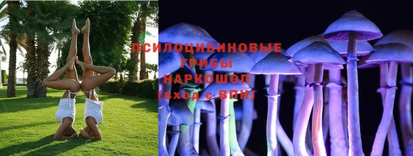 а пвп мука Вяземский