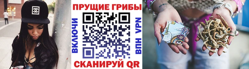 Псилоцибиновые грибы ЛСД где купить Зеленогорск